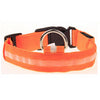 Safety LED Flashing Glow LED Dogs Collars