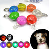 Dog LED Flash Light for Collar