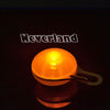 Dog LED Flash Light for Collar