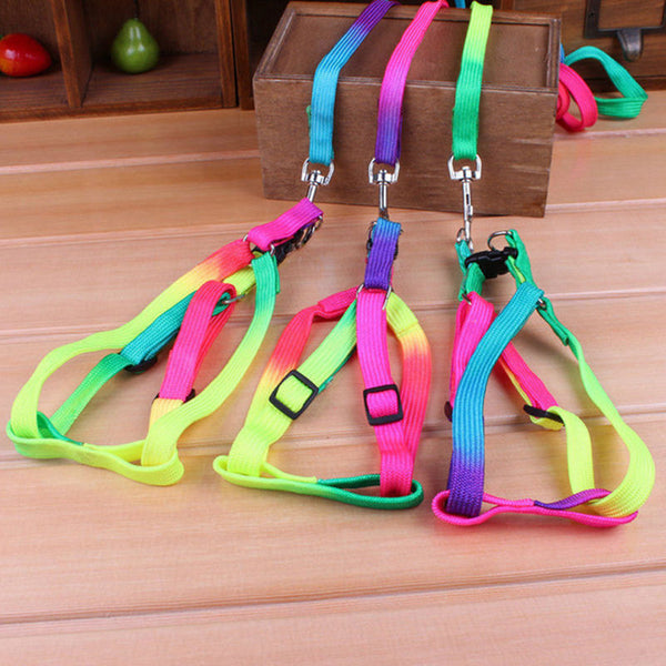 Pet Nylon Harness Collar Leash Lead